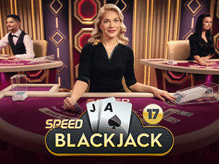 Speed Blackjack 17 screenshot